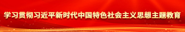 爆操后入视频学习贯彻习近平新时代中国特色社会主义思想主题教育